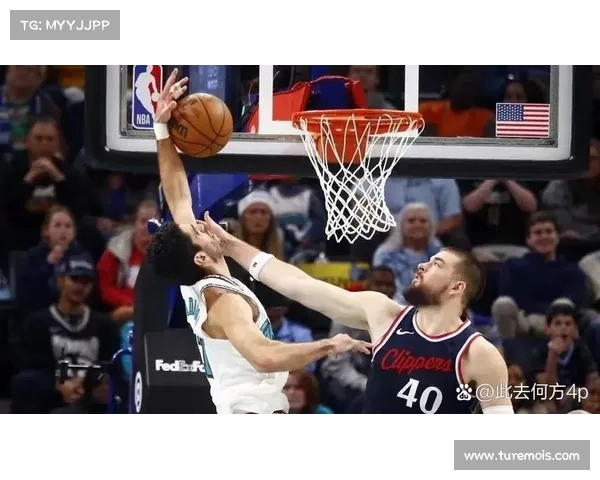NBA暴扣集锦：看篮球巨星如何用力量与技巧征服篮筐