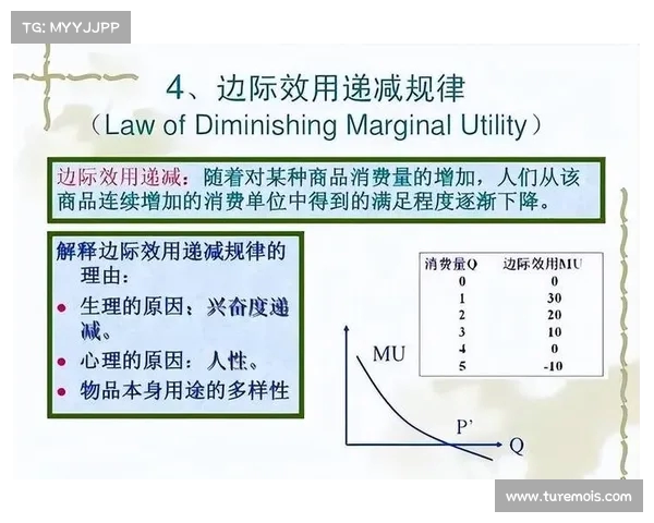 赛后分析:揭示比赛关键因素与战略调整对胜负的深刻影响 赛后分析:揭示比赛关键因素与战略调整对胜负的深刻影响