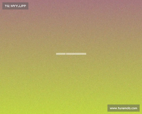 德甲赛事精彩不断 快速在线观看德甲直播网站推荐与解析