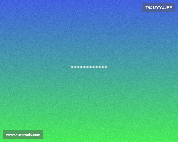 谢什科的崛起：在压力与挑战中锻造力量与雄心的传奇旅程