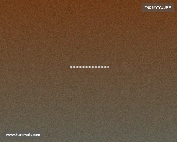 聚焦激烈竞争与逆袭奇迹的冠军之争，谁能最终问鼎巅峰荣耀